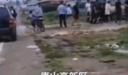 宜宾最新命案事件爆料,悲剧背后的人性拷问与法治追寻