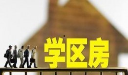 叶先生最新爆料深圳,深圳发展新动向