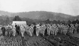 长垣老兵爆料事件始末最新消息,真相追踪与舆论发酵全纪录